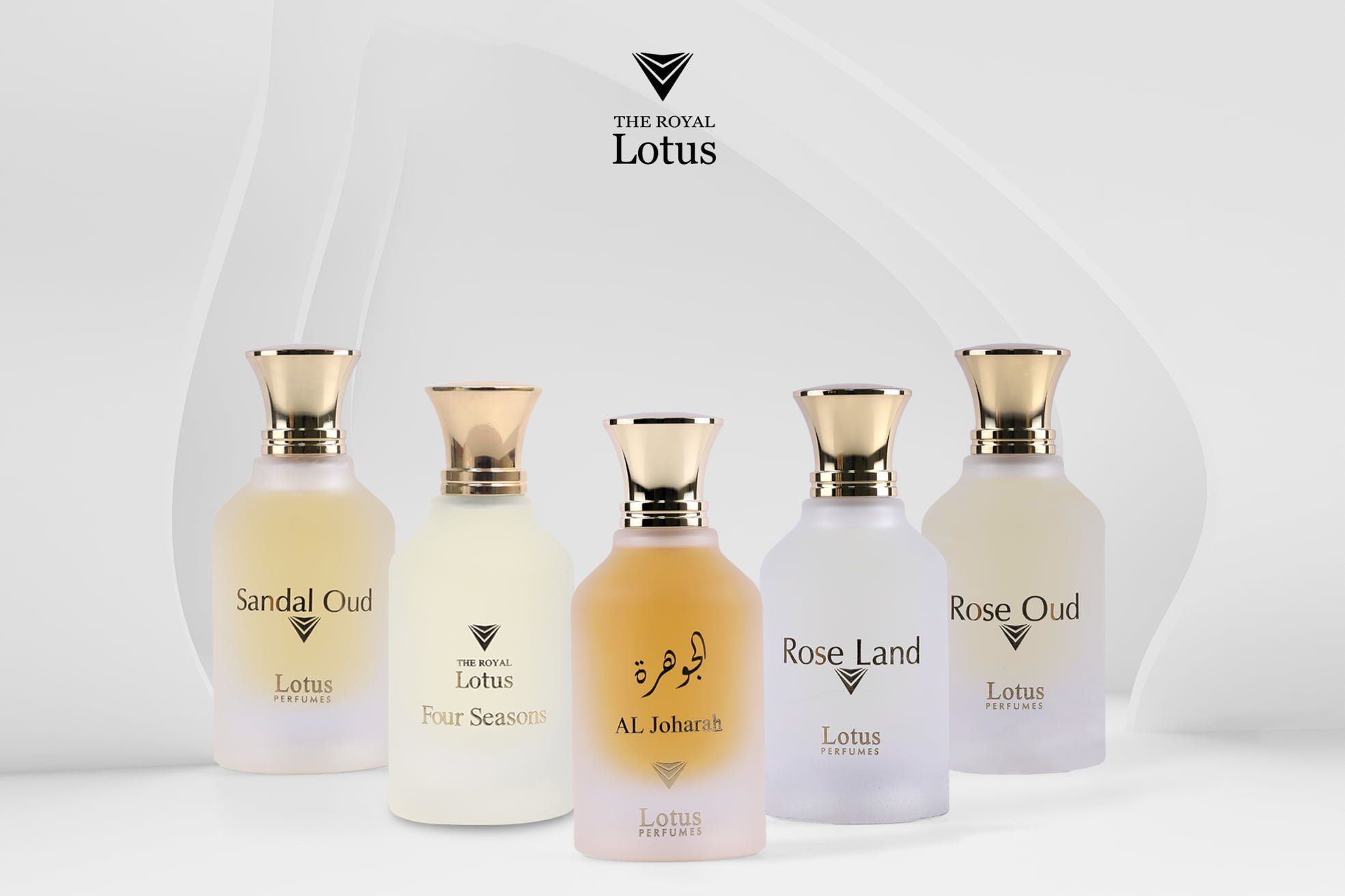 الرئيسية 3 100 1 3