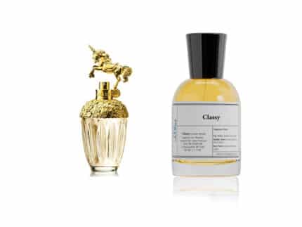 عطر كلاسي - مستوحى من انا فانتاسي - انا سوي