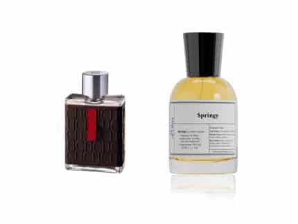 Springy Perfume - Inspired by CH Men - CH