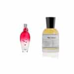 Blue Cherry Perfume - Inspired by Cherry in the Air - Escada