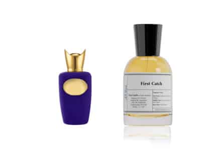 First Catch Perfume - Inspired by Ensemble - Xerjoff 50ml