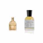 Hazelnut & Orange Perfume - Inspired by Just cavali gold - Burberry