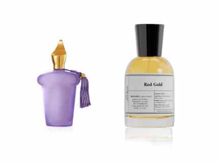 Red Gold Perfume - Inspired by La tosca - Xerjoff