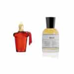 عطر سبيشل - مستوحى من بوكت ايدل - اكزرجوف