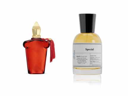 عطر سبيشل - مستوحى من بوكت ايدل - اكزرجوف