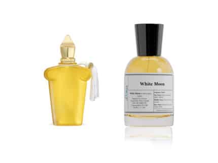 White Moon Perfume - Inspired by Dolce Amalfi - Xerjoff