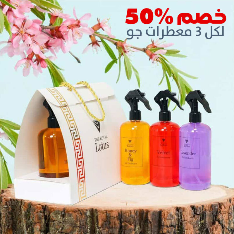 الرئيسية 12 3airF50OFF ar2